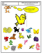 okul öncesi renkler çalışma sayfaları; verilen resimle aynı renkte olan resimleri işaretle